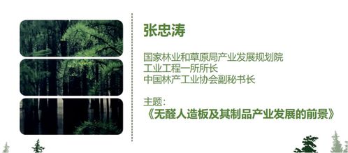 無(wú)醛人造板及其制品 團(tuán)體標(biāo)準(zhǔn)修訂工作啟動(dòng)會(huì)成功召開(kāi)